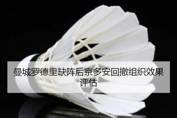 曼城罗德里缺阵后京多安回撤组织效果评估