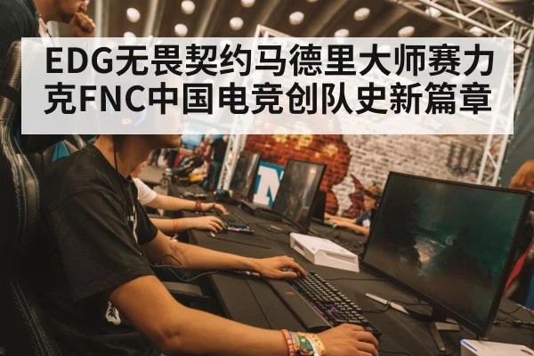 professional gaming tournament arena